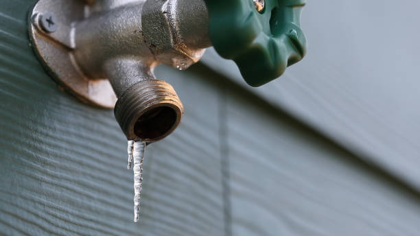 Best Clogged Drain Plumber  in Longview, WA